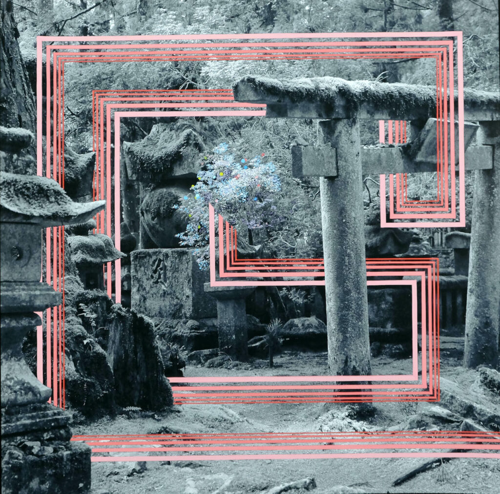 Tempéra sur photographie 
50x50 cm