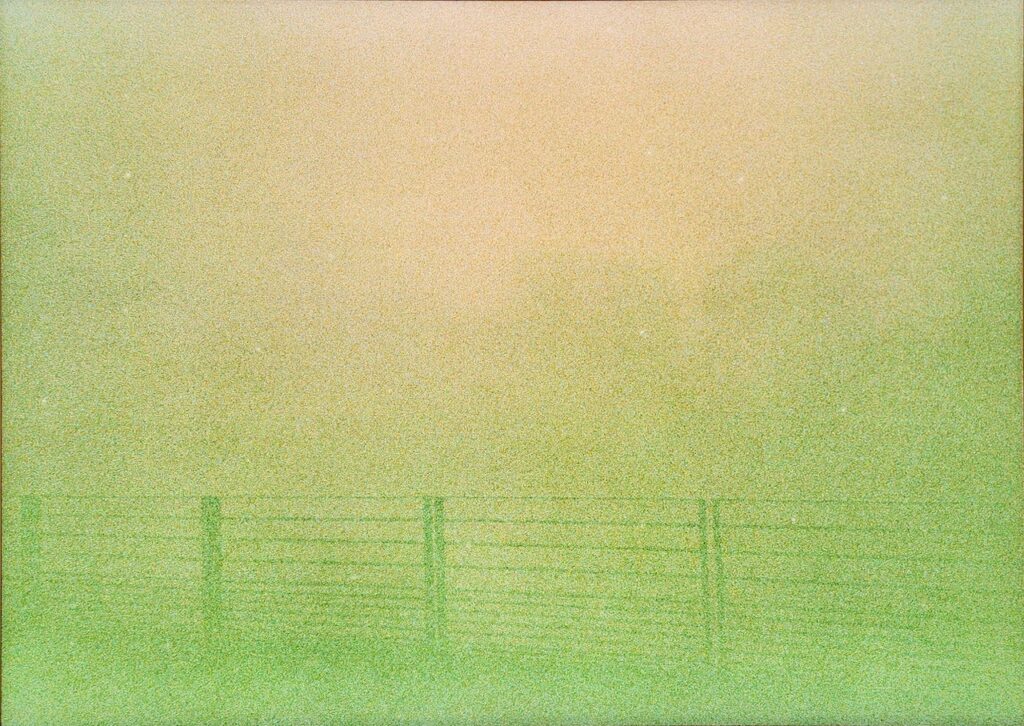 Photographie
50x70 cm